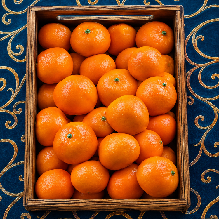 میوه مصنوعی نارنگی درجه یک وارداتی
